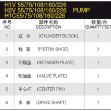 H2V 55/75/108/160/226 Spare Parts Repair Kit H1V 55/75/108/160/226 Hydraulic Pump Parts With ITALY SAM H1C 55/75/108/160/226 thumbnail-6
