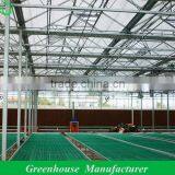 4mm Twin Wall Polycarbonate Greenhouse thumbnail-1
