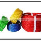 100% PE Rope/Twine(Leading Manufacturer)