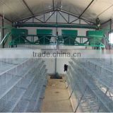 professional manufacturer quail cage design
