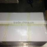 Frozen Carp Fish thumbnail-4