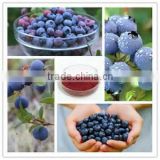 Hot Sale Bilberry Extract Anthocyanidin 25%