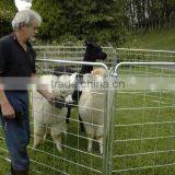 Easy Assemble and Flexible Alpaca Sheep Corral Yard Panels (supplier)
