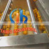 High Performance Automatic Industrial Fruit Washing Machine thumbnail-2