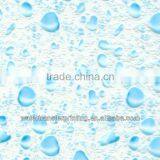 Water Transfer Printing Film