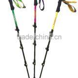 Popular Red Four Sections Carbon Fiber Telescopic Trekking Pole Nordic Walking Stick thumbnail-3