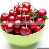 Cherry Instant Flavored Drink thumbnail-1