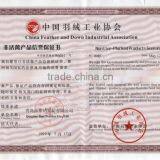 100% Short Soft Velvet Printing Cushion thumbnail-3