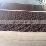 Linyi MR Glue Shuttering Plywood & Film Faced Plywood for Construction thumbnail-3