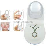 Galvanic Electronic Slimming Massager thumbnail-5