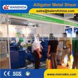 Strong Sawdust Briquette Machine With Large Outputs From China Factory thumbnail-3