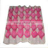 China Pulp Paper Bottle Trays Price thumbnail-1