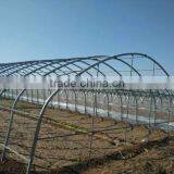 Cheap Greenhouse Kenya Market thumbnail-1