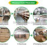 Sun Dried Daphnia thumbnail-5