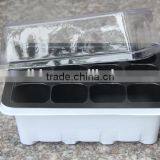 Propagation Tray Dome,Agriculture Germination Tray In Green House thumbnail-3