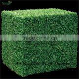 SAS016014 Artificial Hedge Panel UV Protect PE Boxwood Mat thumbnail-3