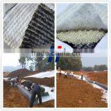 High Quality Bentonite GCL Waterproof Blanket for Landfill thumbnail-1