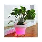 Outdoor Courtyard Flower Pot for Decoration Plastic Pot thumbnail-2