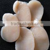 Frozen Scallop High Quality Pen Scallop for Sale thumbnail-2