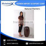 Perfect Finish Natural Planter for Sale thumbnail-2