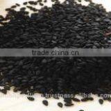 Black Sesame thumbnail-1