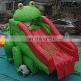 Inflatable Frog Water Slide/Used Fiberglass Water Slide for Sale thumbnail-1