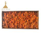 China Most Popuplar Everlasting Moss: The Key to Plant Walls thumbnail-1