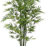 New Product Artificial Bonsai Bamboo Tree With Natural Colour thumbnail-5