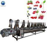 Fruit and Vegetable Cleaner Vegetable Cleaning Machine Fruit Washing Line Vegetable Washing Line thumbnail-6