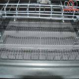 Mozambique Poultry Farming Equipment Battery Broiler Chicken Cage & Meat Chicken Cage & Chicken Coop in Poultry House thumbnail-2