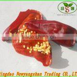 YIDU Chili Powder/Cayenne Pepper Exporters thumbnail-6
