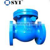 Swing Check Valve thumbnail-2