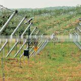 3-5 Rainy Days Eco-friendly High Quality Standard Attractive Design Solar Powered Bug Zapper Electric Insect Killer Lamp thumbnail-5