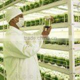 Coco Coir for Tissue Culture thumbnail-1