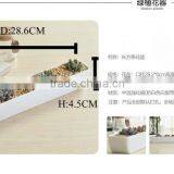 2016 Hot-sell Wholesale Price Artificial Tropical Mini Succulent Plant Pot Porcelain Flower Pot in Garden thumbnail-2