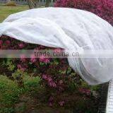Pp Nonwoven Anti uv Fabric thumbnail-4