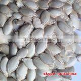 Shine Skin Pumkin Seed Kernels thumbnail-5