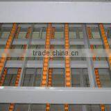 Order Picking Carton Flow Racks for Warehouse thumbnail-1