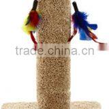 Cat Playing Toy With Chicken Feather thumbnail-1