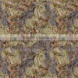 Water Transfer Printing