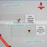 50pieces Set Primary School Study Zoology and Botany Mixed Biology Slides thumbnail-3