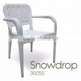 Arm Chair,Outdoor Chair,PE Chair,Dinning Chair,outdoor Dinning Chair,outdoor Arm Chair,furniture thumbnail-1