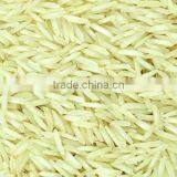 1121 Steam Basmati Rice in India