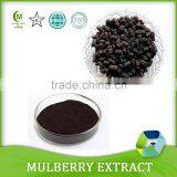 100% Natural Pigment 25% Anthocyanidins Powder Mulberry Fruit Extract