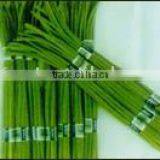 Fresh Garlic Sprout thumbnail-1