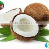 Virgin Coconut Oil Pure thumbnail-6