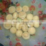 Canned Mushroom thumbnail-1