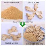 Supply High Quality Dehydrated Ginger Whole Factory Price thumbnail-2