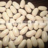 JSX Peeled Chinese White Kidney Beans Selected Food Grade Large White Kidney Beans thumbnail-3