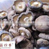 GMP Certified Shitake Mushroom/Lentinus Edodes Extract Lentinan P.E.Polysaccharide thumbnail-3